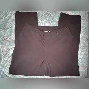 Westbound Brown Stretch‎ Pull On Pants Women's Size 22W
